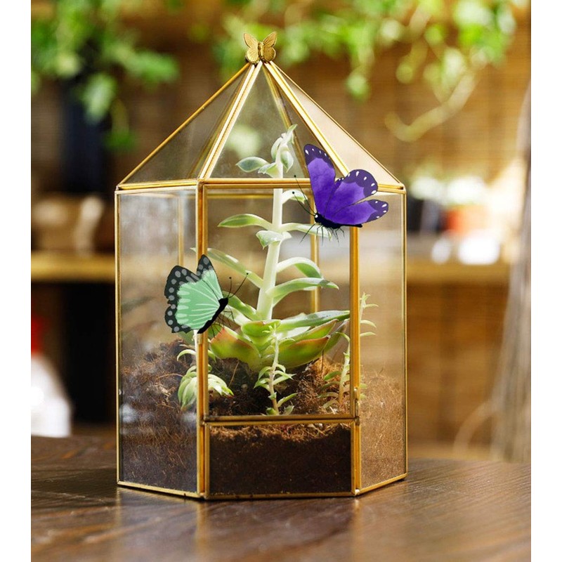 ELEGANTLIFE Glass Geometric Plant Terrarium,Succulent & Air Planter for Home