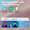 blunique Cooling Dog Bed for Small, Medium Dogs & Cats