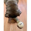 Unbranded Set of 2 Dog Toys Tennis Ball Bone 8"