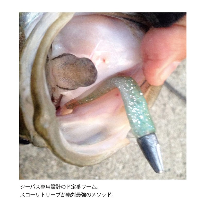 Coreman CA-07 Worm Alkaline Junior #001 Anchovy.