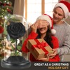 SW Forever Preserved Real Black Rose Flower Birthday Gift for