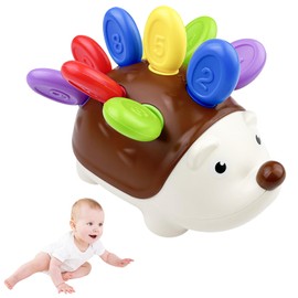 Fervalyna Motor Skills Toy from 18 Months, Hedgehog Montessori Toy, Gifts for Children Boys Girls from 2 3 Years, Plug-In Game Fine Motor Skills Educational Toy Trains Hand Eye Coordination