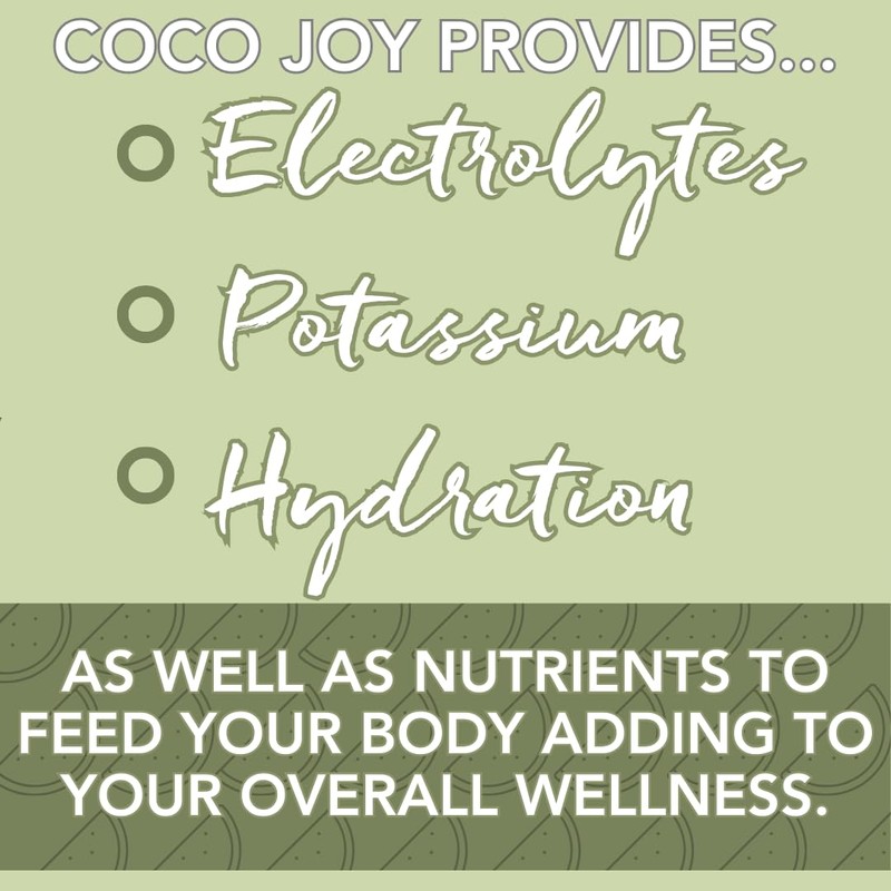 CoCo Joy 100% Natural Watermelon Juice, (12-Pack) Low-Calorie Watermelon Drink