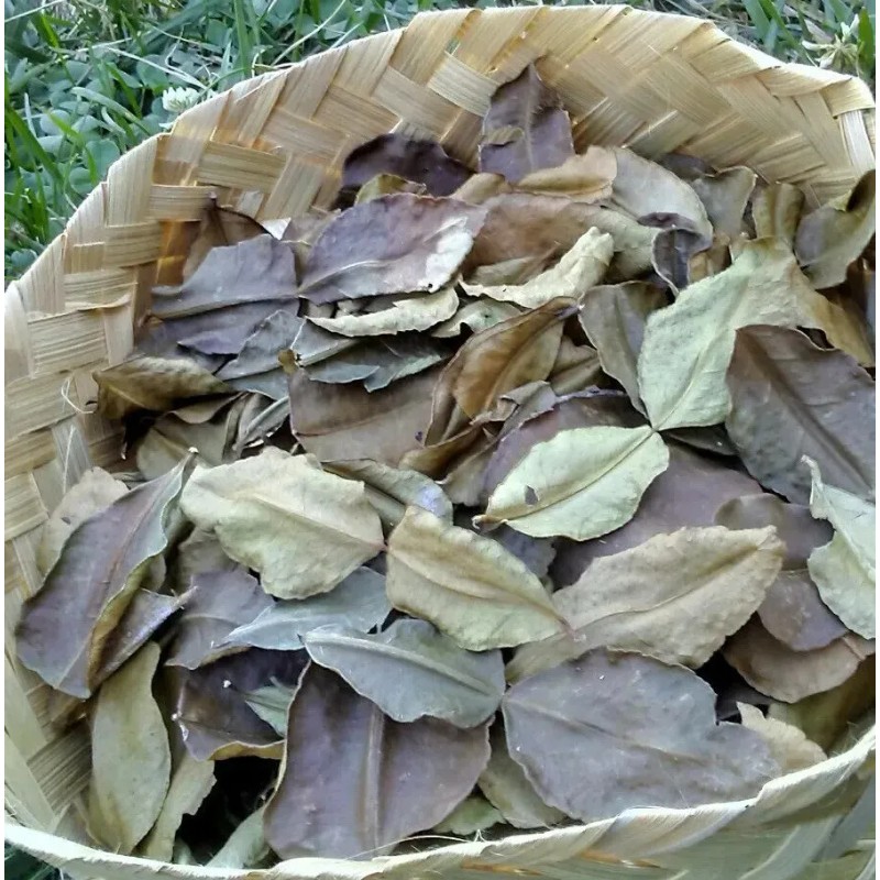 Homemade Organic Kaffir Lime Leaves Dried 1 oz