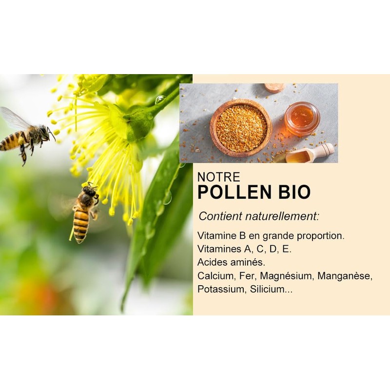 Pollen aus Marokko, Quelle der natürlichen Vitalität, 140 g