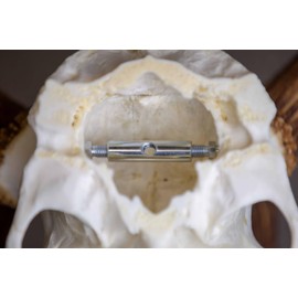 EUROHUNT 560898 Trophy Holder Silver