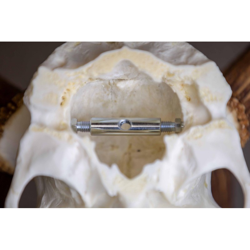 EUROHUNT 560898 Trophy Holder Silver