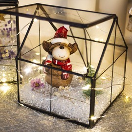 Ferrisland Glass Plant Terrarium Container Wardian Case Indoor Small Succulent Terrarium Planter w/Door for Tabletop Decor DIY - 4.9"x4.3"x4.3"