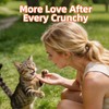 Just Try Dental Health Treats for Cats - Advanced Kelp