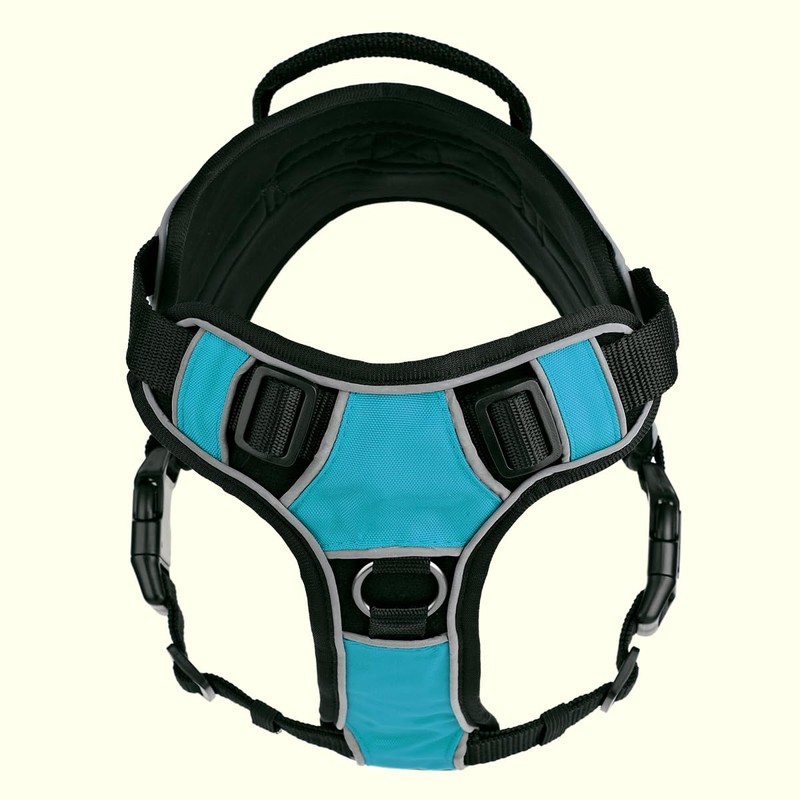 Dogline Quest No-Pull Dog Harness with Adopt Me Reflective Removable