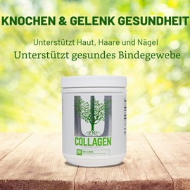 Universal Nutrition Collagen powder (300 g) contains highly hydrolyzed collagen, for the health of bones and joints, skin, hair and nails, as well as digestion and muscle recovery