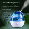 Cool Mist Humidifiers for Bedroom & Large Room (2.5L Water