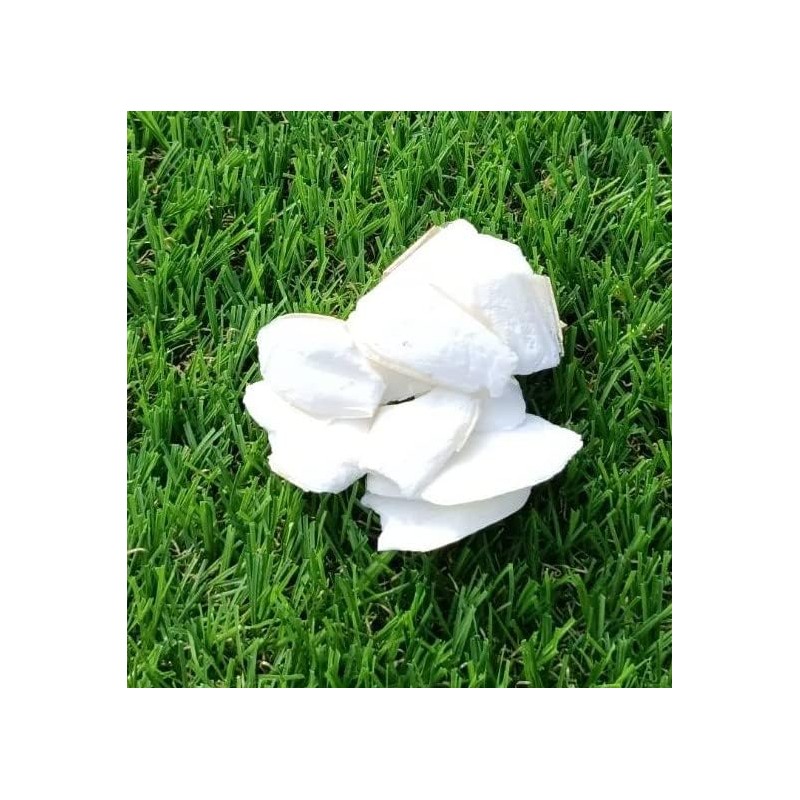 Camecarbon Flakes (1.1 oz (30 g)