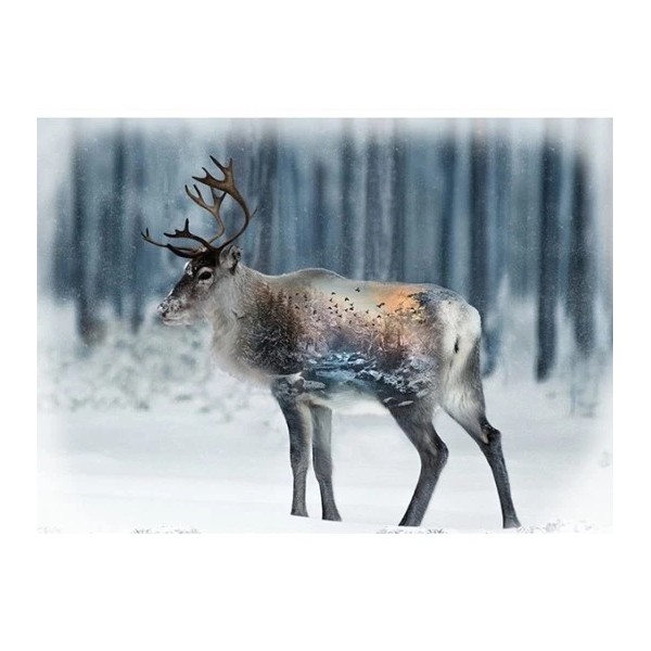 Hoffman Call of the Wild Digital T4862 597 December 31