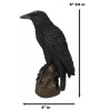 Ebros Gothic Raven Statue Crow Scavenger Bird Perching On Rock