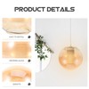Glass Globe Lamp Shade Amber Round Lamp Cover Globes Transparent