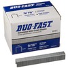 Duo Fast 5018C 20 Gauge Galvanized Staple 1/2-Inch Crown x