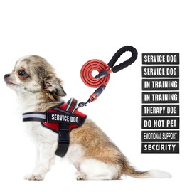 Juego de arnés y correa para perro de servicio, arnés de entrenamiento para perro con 10 parches para perro, correa reflectante para perro con mango acolchado suave para perros pequeños, medianos, grandes y extragrandes (rojo, XS)