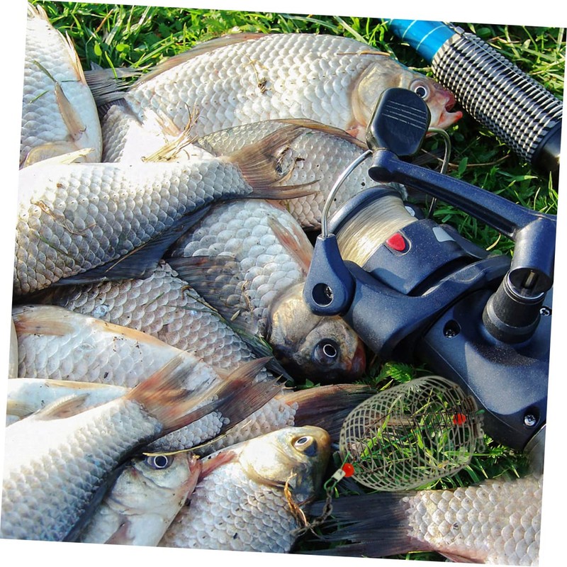 Kisangel 30pcs Stainless Steel Fishing Bait Trap Cage Basket Feeder