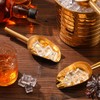Roshtia 12 Pcs Gold Ice Scoops Stainless Steel Mini Scoop