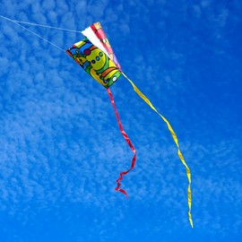 KOKOSUN Frameless Soft Kite, Colorful Parafoil Kite with Long Tail Easy to Fly, Beach Kites, for Kids and Beginners (Circle Style)