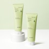 Scinic NEW Avocado Cleansing Foam 250ml x 2 / 싸이닉 NEW 아보카도 클렌징 폼 250ml 2개