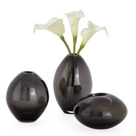 Torre & Tagus Mini Lustre Bud Vase Set for Home Office Tabletop Centerpiece, Assorted, Smoke Black