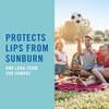 Banana Boat Aloe Vera Lip Protection Sunscreen, 0.15 Ounce