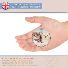 Destination Vinyl ltd Magnet for Refrigerator, Fridge - Cute Kitten Cats Cat Baby Animal for Office, Cabinet and Whiteboard, Magnetic Stickers, 15505