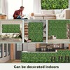 DOPGIB Artificial Green Boxwood Grass Wall Panels: 20"x20"(16P) UV Protected