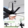 LANMEL 28 Inch Plug-In Outdoor Ceiling Fan with Light and