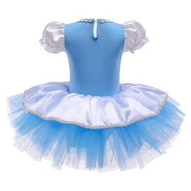 Dressy Daisy Princess Ballet Dance Costume Leotard Tutu Dress for Toddler Girls with Tulle Skirt Size 2T 3T, Blue