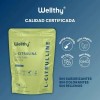 Wellthy L-citrulina 315g