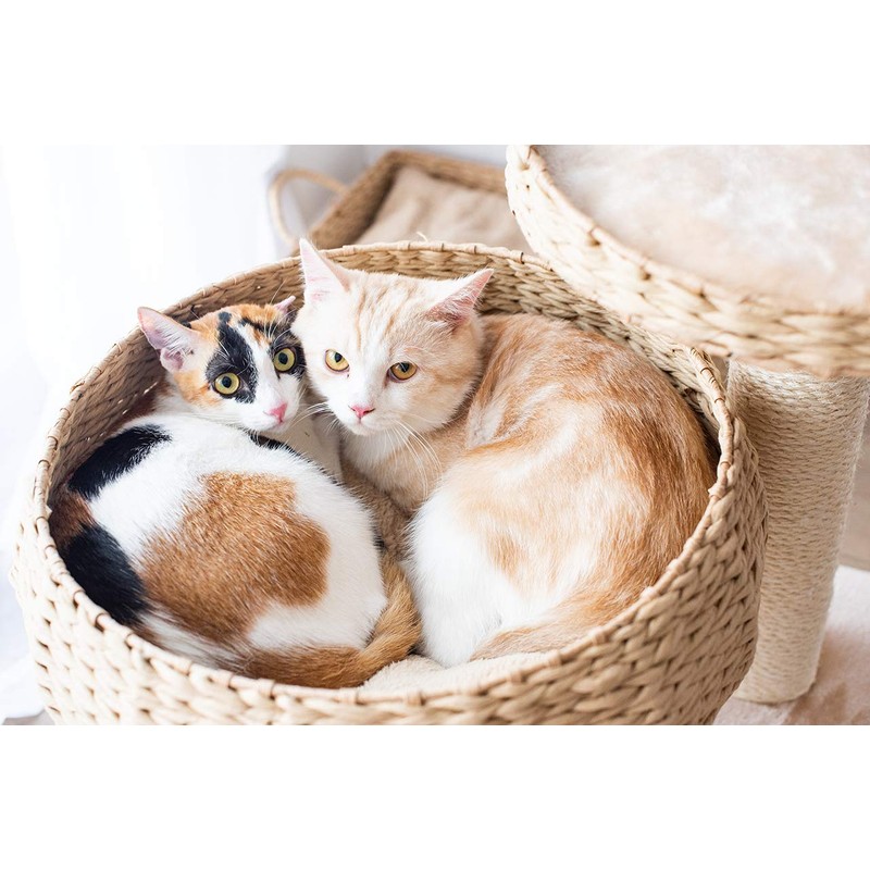 PetPals Paper Rope Natural Bowl Shaped with Perch Cat Tree