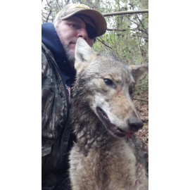 Phillips Outdoors Inc K-9 Carnage COYOTE  BAIT-Trapping, Coyote, Fox