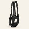 Adjustable Dog Rear Leg Lift Harness – Padded Hind Leg