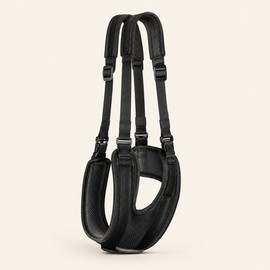 Adjustable Dog Rear Leg Lift Harness – Padded Hind Leg Support Sling for Senior, Weak & Recovering Dogs, Adjustable Mobility Assistance Strap, S–L