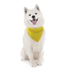 Mechaly Dog Plain Bandanas - 2 Pack - Scarf Triangle