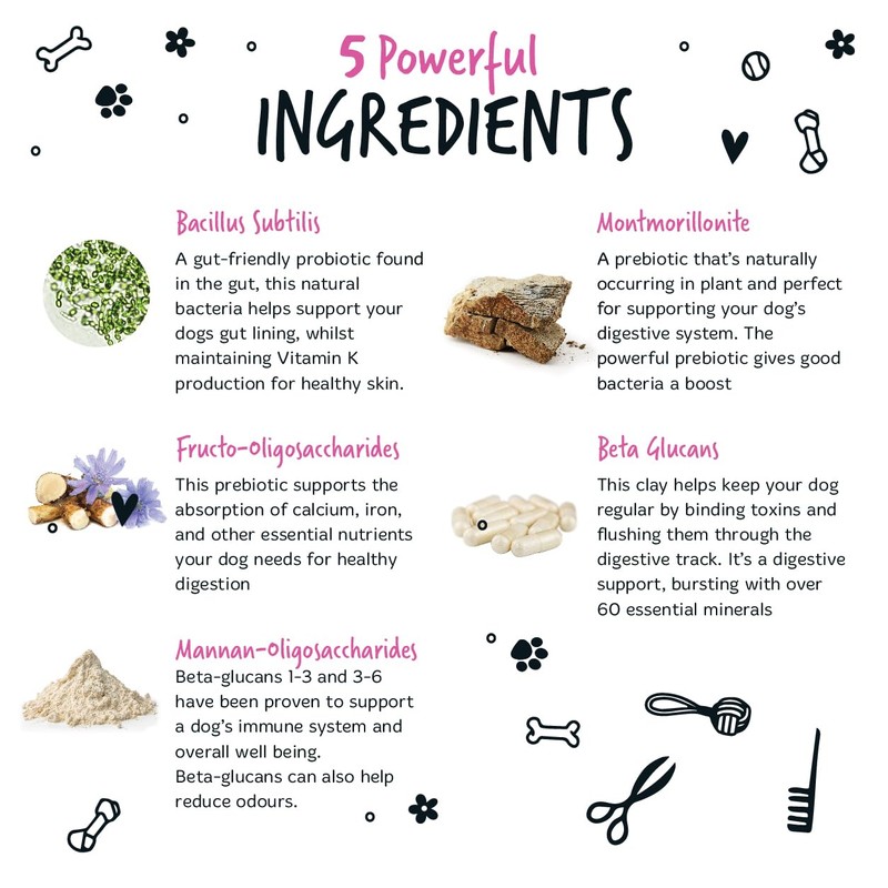 Bugalugs Probiotics For Dogs - Powder, Simple To Add To