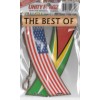 Rear view mirror car flags Guyana and USA unity flagz