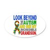 CafePress Look Beyond 2 Autism Grandson Oval Car Magnet, Euro