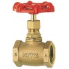 Kitz Globe Valve Type 100 3/8 A10A