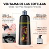 Kaisasa Champú Para Tinte De Cabello marrón oscuro 3 En