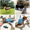 DAJIDALI Dog and Cat Shirt in Tech Fabric with Luminous