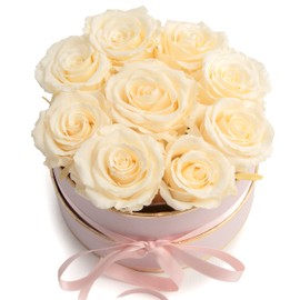 ROSEMARIE SCHULZ Heidelberg Rose Box Pink Round Infinity Roses - Flower Box 8 Infinity Roses Diameter 15 cm - Birthday Gift for Women (Medium, Pink Champagne)