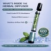 Herbal Diffuser Pen 2 Pack, Mint Non-Electric Personal Aroma Stick