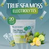 True Sea Moss Electrolytes – Mango & Pineapple – Natural