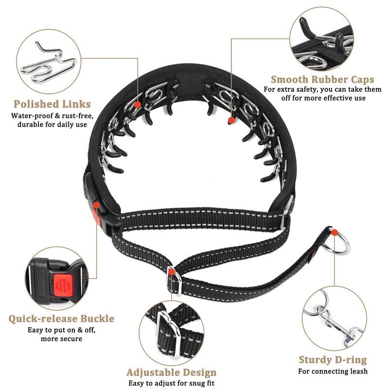 Mayerzon Martingale No Pull Dog Collar, Reflective Walking Collar for