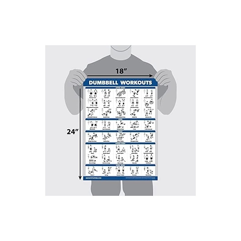 Palace Learning QuickFit Workout Poster Set – 3 Pack Dumbbell,