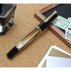 Pelican Fountain Pen Medium Fine Point Marble Brown Classic M200